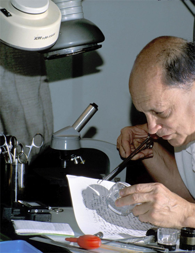 David Liebman