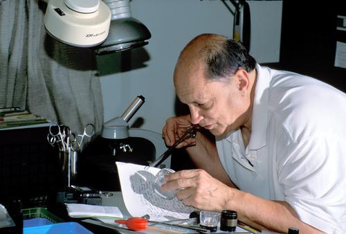 David Leiberman Pic replica watches